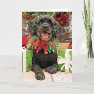Christmas - Cockapoo - Rocky Holiday Card