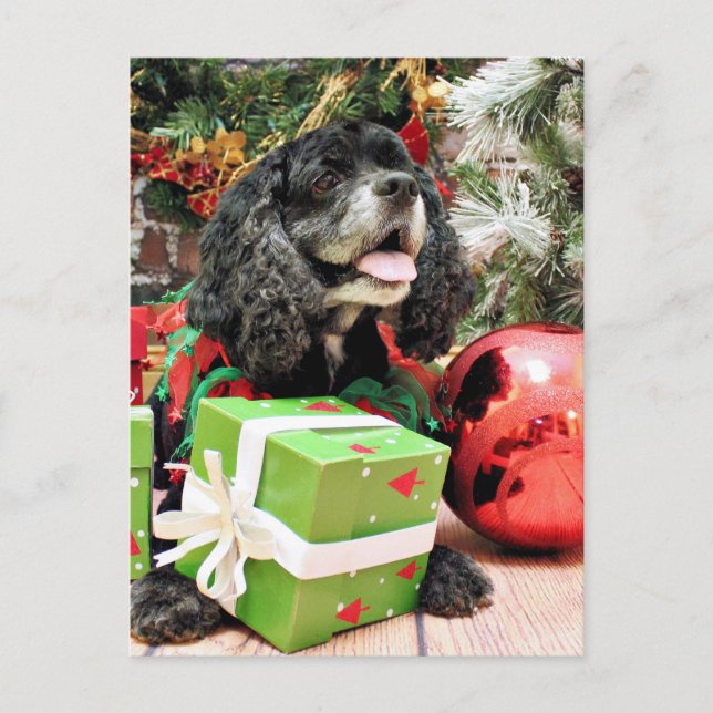 Christmas - Cocker Spaniel - Marshall Holiday Postcard (Front)