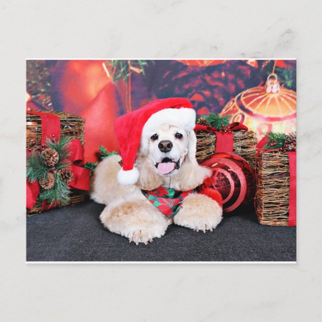 Christmas - Cocker Spaniel - Tobey Holiday Postcard (Front)