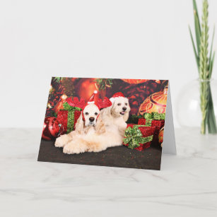 Christmas - Cocker - Toby, Havanese - Little T Holiday Card