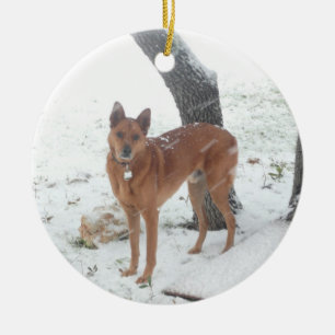 Christmas Collection In Memory of Champ Ceramic Ornament