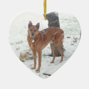 Christmas Collection Pet or Family Photo Ceramic Ornament