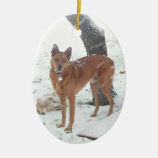 Christmas Collection Pet or Family Photo Ceramic Ornament