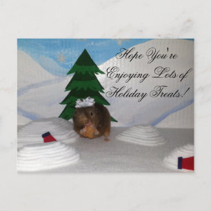 Christmas Cookies! Holiday Postcard