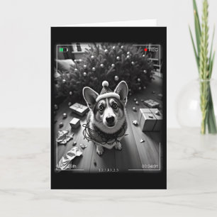 Christmas Corgi Caught On Camera Card