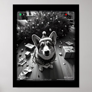 Christmas Corgi Caught On Camera  Poster