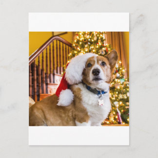 Christmas Corgi Holiday Postcard