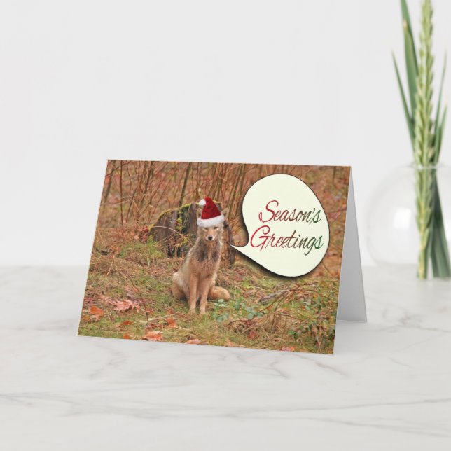 Christmas Coyote Holiday Card (Front)