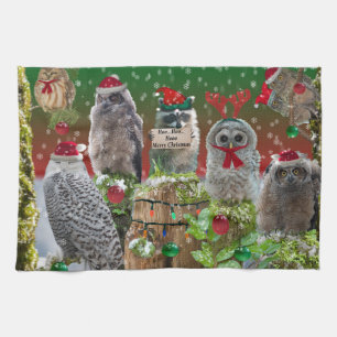 Christmas Critters Owls and Raccoon Kitchen Towel