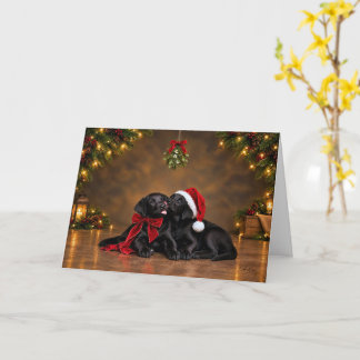 Christmas Cuddles Card