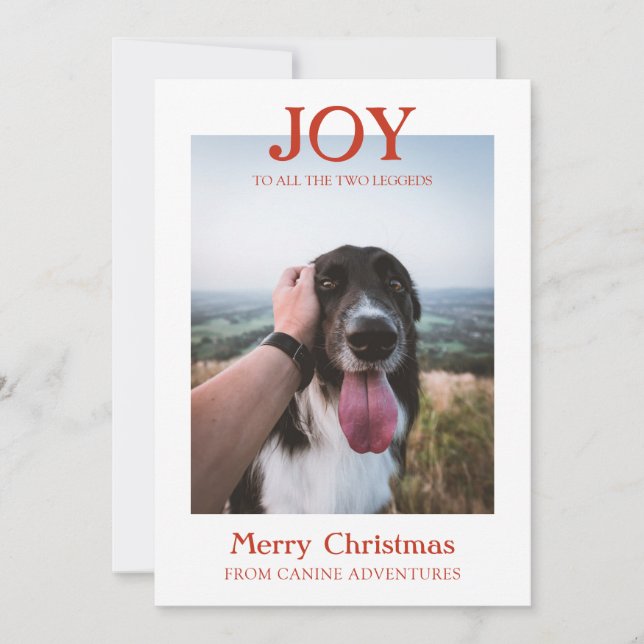 Christmas Custom Dog Photo Dog Walker Business Holiday Card (Front)