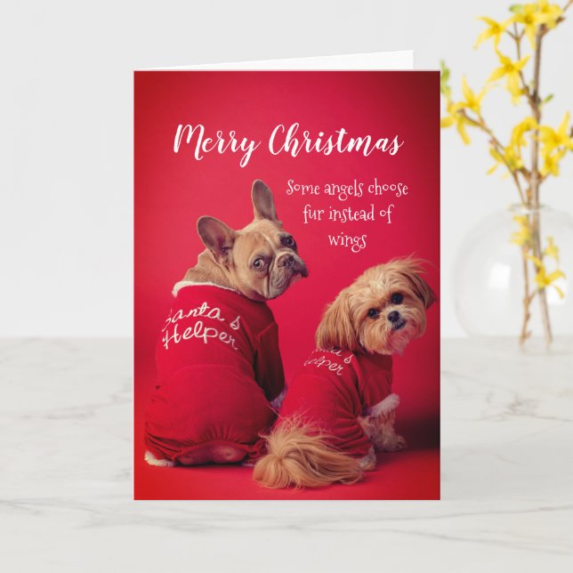 Christmas Cute French Bulldog And Shih Tzu Card (Yellow Flower)