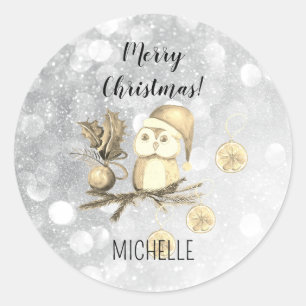 Christmas Cute Owl With Branches And Balls Classic Round Sticker