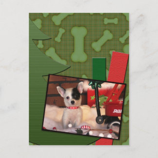 Christmas Cute Puppy Chihuahua Spots Holiday Postcard