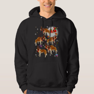 Christmas Cute Santa Claus Riding Saint Bernard Xm Hoodie