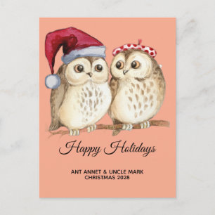 christmas cute Wise Owl Santa's Sleep hat Holiday Postcard
