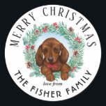 Christmas Dachshund Dog Merry & Bright Sticker<br><div class="desc">Cute,  stickers featuring chocolate brown / tan dachshund wiener puppy dog with pine wreath frame. Perfect for the festive season for lovers of these cute family short legged little dogs.  Customize by using the text template.</div>
