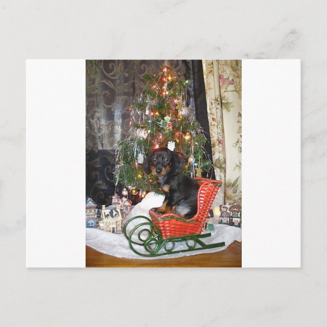 Christmas Dachshund Style Holiday Postcard (Front)