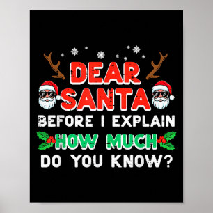 Christmas Dear Santa Before I Explain Funny Xmas W Poster