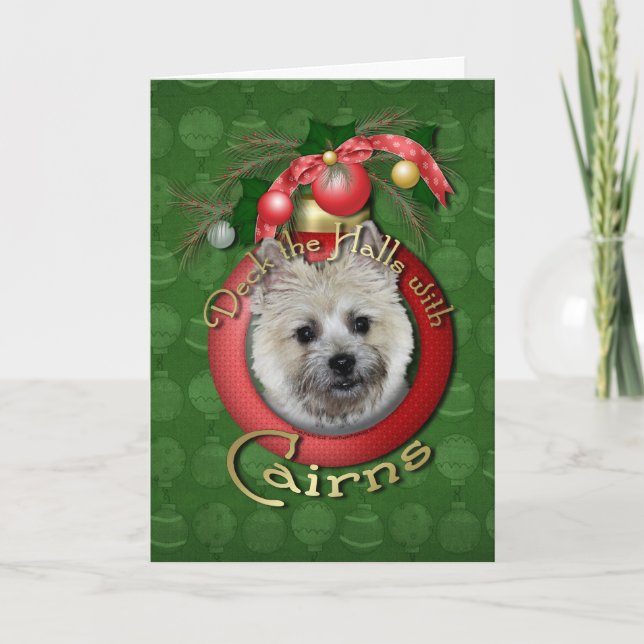 Christmas - Deck the Halls - Cairns - Teddy Bear Holiday Card (Front)