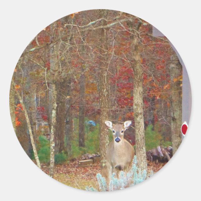 Christmas Deer Classic Round Sticker (Front)