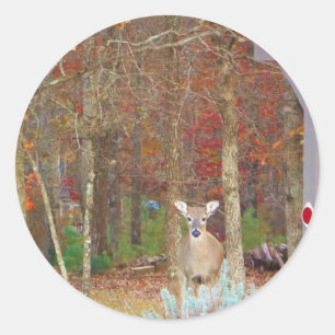 Christmas Deer Classic Round Sticker