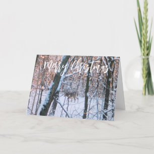 Christmas Deer Holiday Card