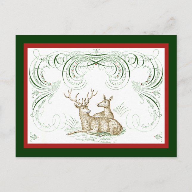 Christmas Deer Holiday Postcard (Front)