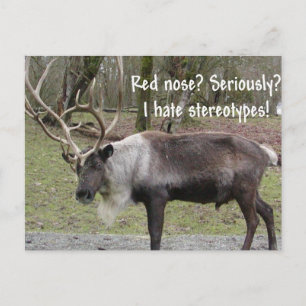 CHRISTMAS DESIGNS HOLIDAY POSTCARD