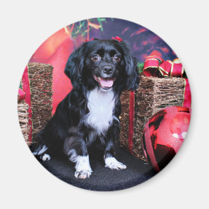 Christmas - Docker - Gigi Magnet