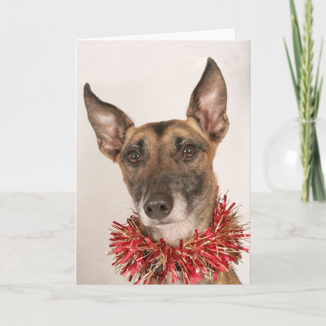 Christmas Dog 1 Holiday Card (Front)