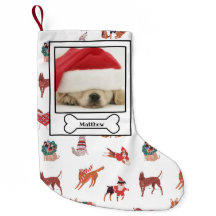 Christmas Dog Bone Pet Photo Puppy