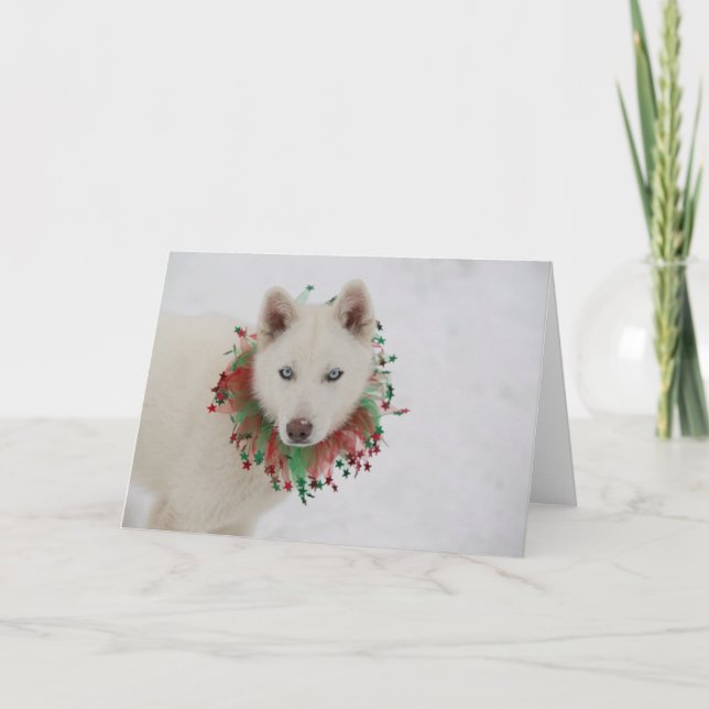 Christmas Dog Card (Front)