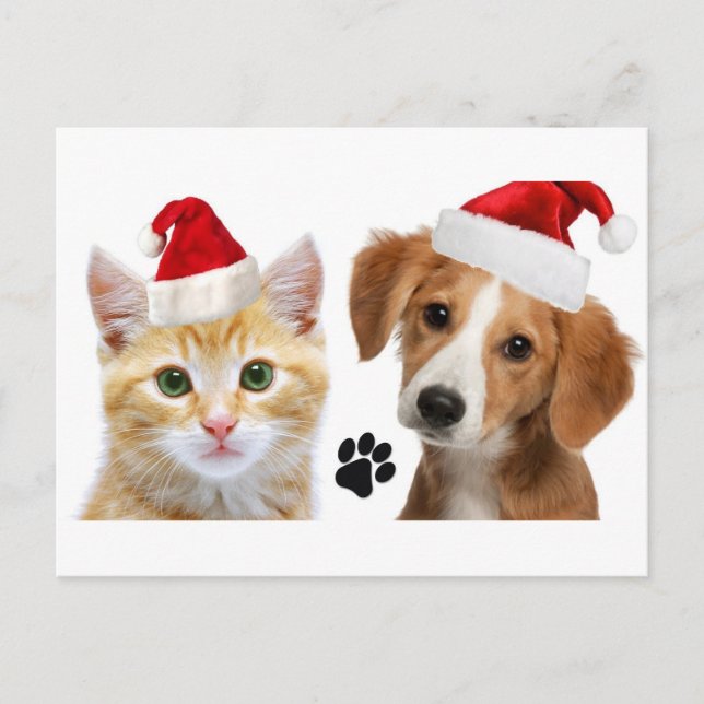 Christmas Dog Cat Cute Pets Xmas Holiday Postcard (Front)