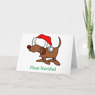 Christmas Dog Holiday Card
