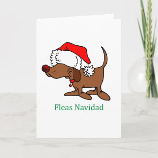 Christmas Dog Holiday Card