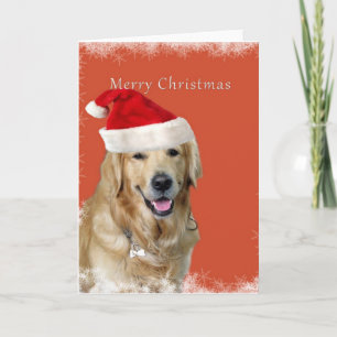 Christmas Dog Holiday Card