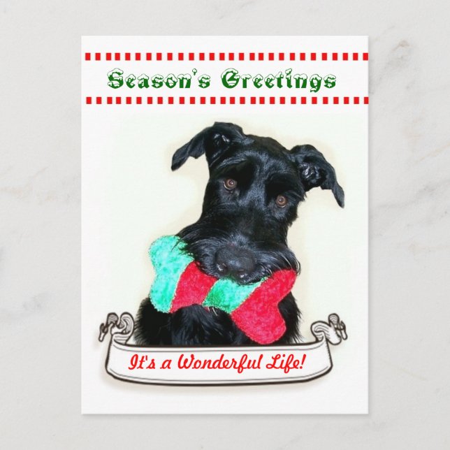 Christmas Dog It's a Wonderful Life Holiday Postcard (Front)