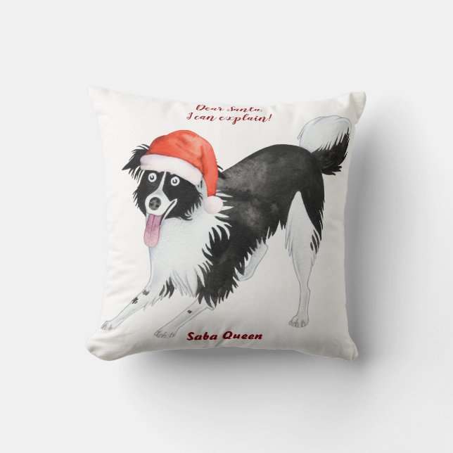 Christmas Dog Photo Dear Santa I can explain Throw Pillow (Front)
