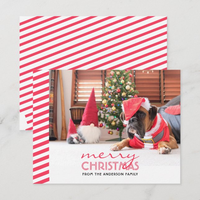 Christmas Dog Red Stripes  Holiday Card (Front/Back)