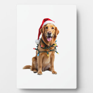 Christmas Dog Shirt, Christmas Golden retriever Pa Plaque