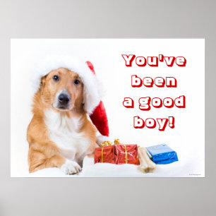 Christmas dog with antler and colourful gifts poster