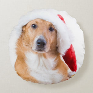 Christmas dog with antler and colourful gifts round pillow