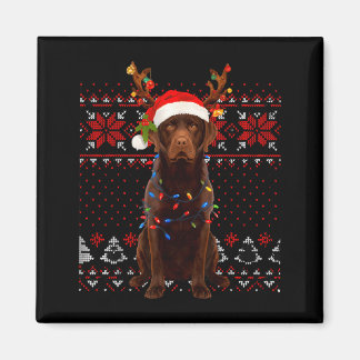 Christmas Dog With Hat And Lights - Funny Holiday  Magnet