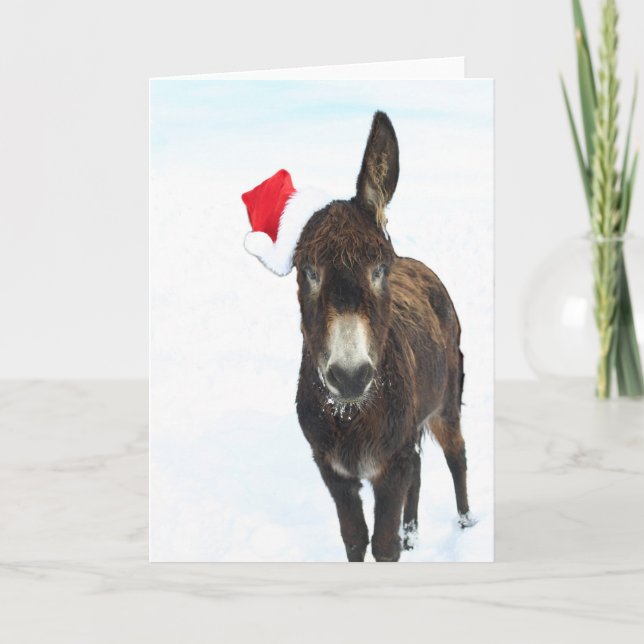 Christmas Donkey Holiday Card (Front)