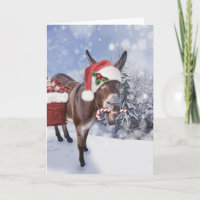 Christmas donkey with funny red hat