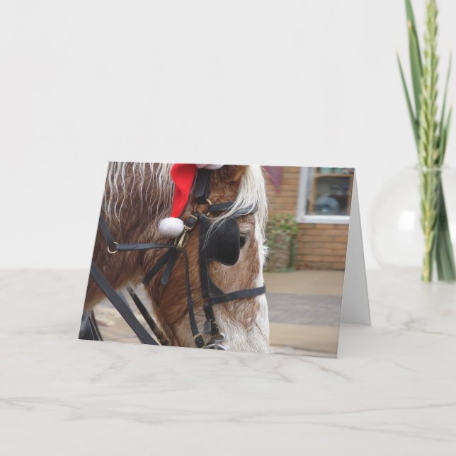 Christmas Draught   Horse Holiday Card (Front)