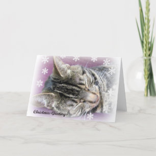 Christmas Dreaming card