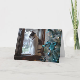 Christmas Dreams Holiday Card