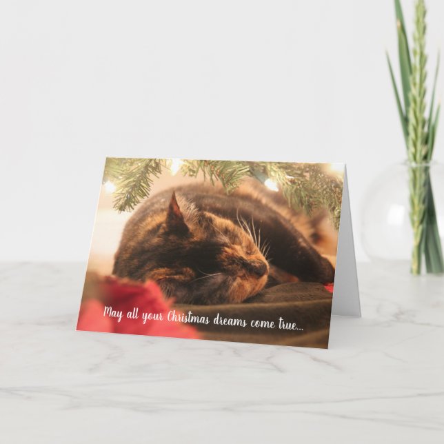 Christmas Dreams Sleeping Calico Cat, Personalized Holiday Card (Front)